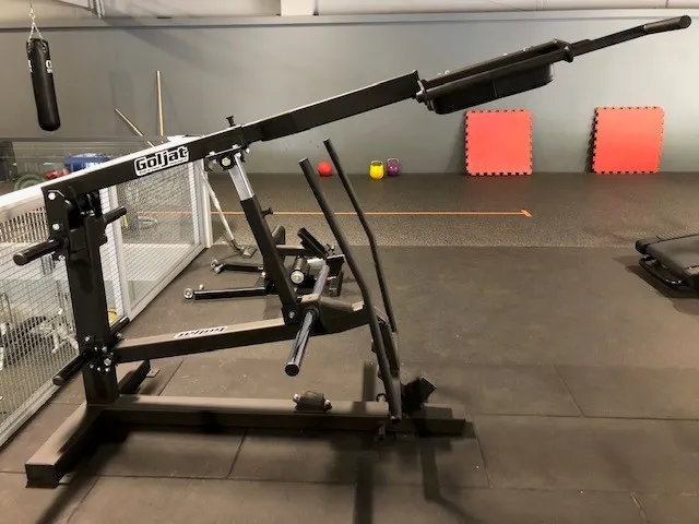 Goljat Viikinkipunnerrus/kyykky kuva