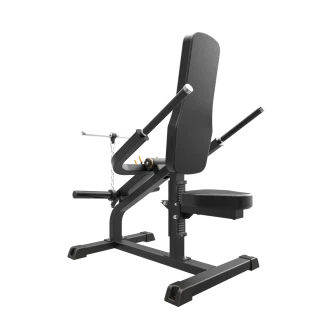 Impulse IFP1706 Hauiskäänto ja dippi/Biceps and triceps  kuva