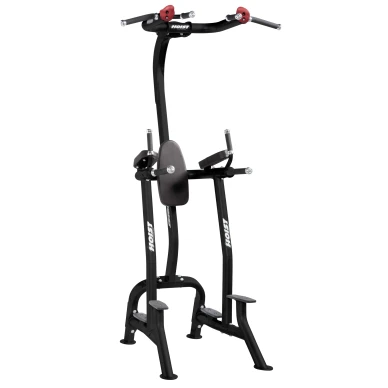 CF 3962 Fitness Tree  BLACK kuva