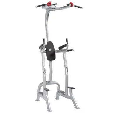 Hoist CF-3962 Fitness Tree - Jalkojen nosto/dippi/leuanvetoteline kuva